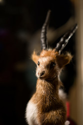 Similar image 7471793