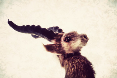 Similar image 7471794