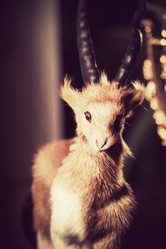 Similar image 7471797