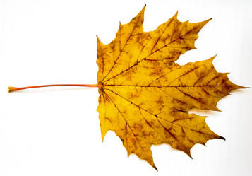 Similar image 7471835