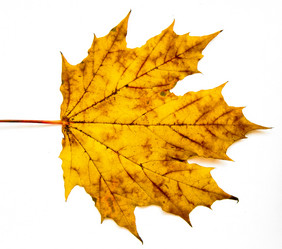 Similar image 7471837