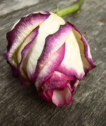 Similar image 7471838