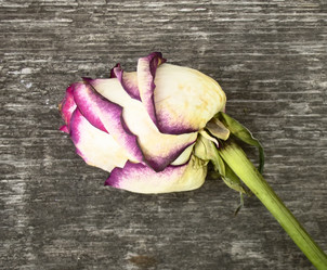 Similar image 7471840