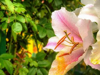 Similar image 7471854