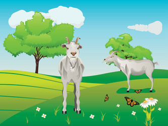 Similar image 7471897