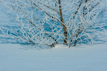 Similar image 7472149