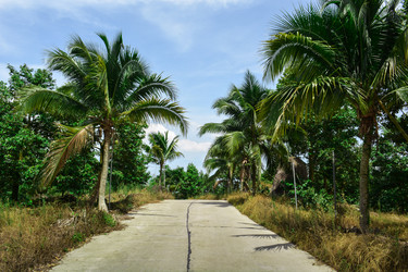 Similar image 7472207