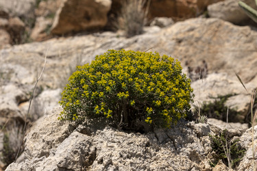 Similar image 7472298