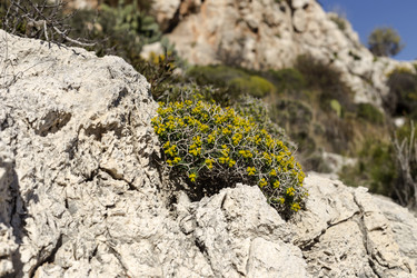 Similar image 7472300