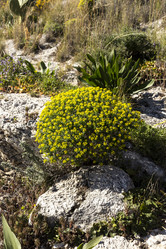 Similar image 7472301