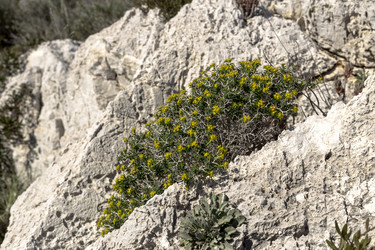 Similar image 7472302