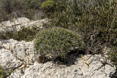 Similar image 7472303