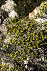 Similar image 7472304