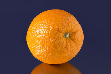 Similar image 7472319