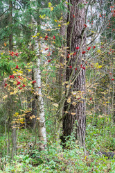 Similar image 7472390