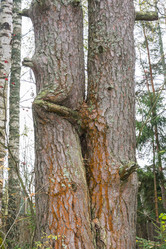 Similar image 7472391