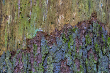 Similar image 7472392