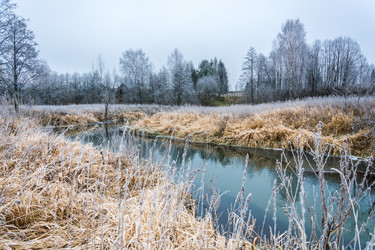 Similar image 7472394