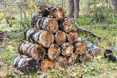 Similar image 7472399