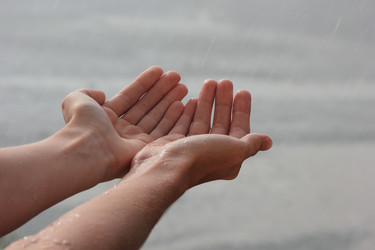 Similar image 7472428