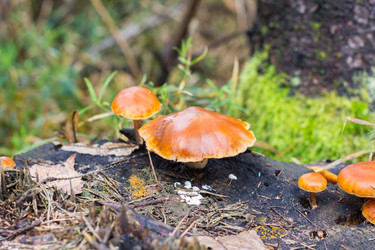 Similar image 7472455