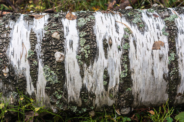 Similar image 7472456