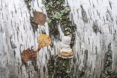 Similar image 7472457