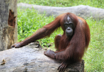 Similar image 7472513