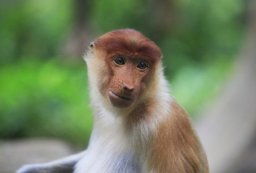 Similar image 7472515