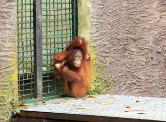 Similar image 7472516