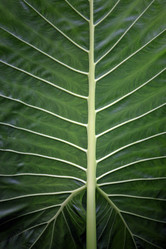 Similar image 7472549