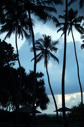 Similar image 7472553