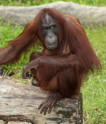 Similar image 7472567