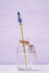 Similar image 7472572