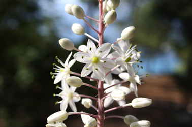 Similar image 7472811