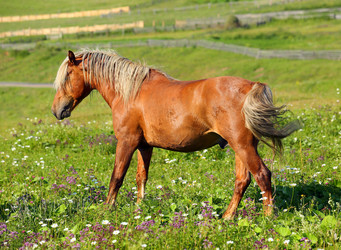 Similar image 7472831