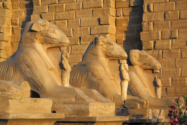 Similar image 7472835