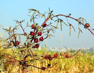 Similar image 7472849