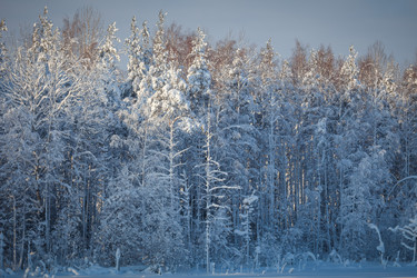 Similar image 7472854