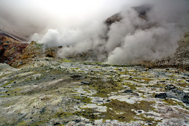 Similar image 7472884