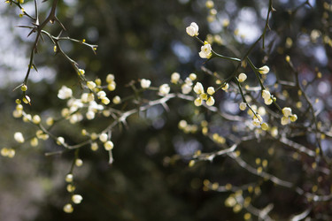 Similar image 7472934