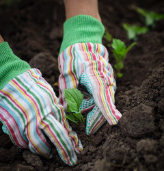 Similar image 7473057