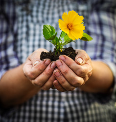 Similar image 7473059