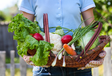 Similar image 7473063