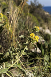 Similar image 7473141