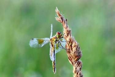 Similar image 7473150