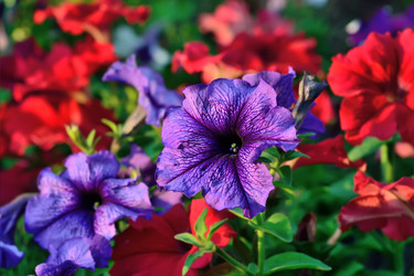 Similar image 7473160