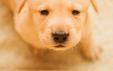 Similar image 7473168