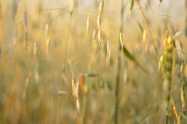 Similar image 7473171