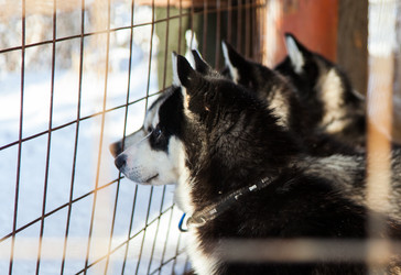 Similar image 7473242